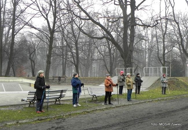 Spacerujące w deszczu - SENIOR/KA 2017