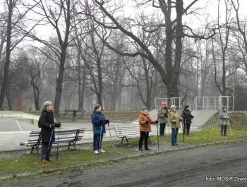 Spacerujące w deszczu - SENIOR/KA 2017 - zdjęcie1