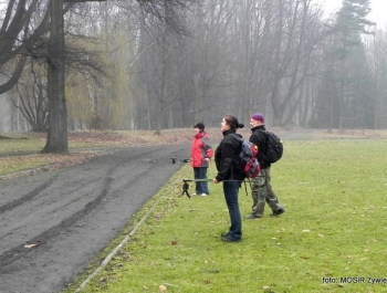 Spacerujące w deszczu - SENIOR/KA 2017 - zdjęcie2