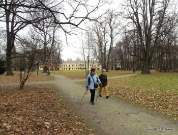 Seniorki w stylu NORDIC WALKING - zdjęcie4
