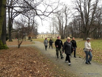 Seniorki w stylu NORDIC WALKING - zdjęcie6