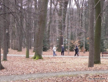 Seniorki w stylu NORDIC WALKING - zdjęcie8