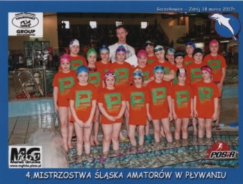 WYNIKI - IV Mistrzostw Śląska Amatorów w Pływaniu - zdjęcie1