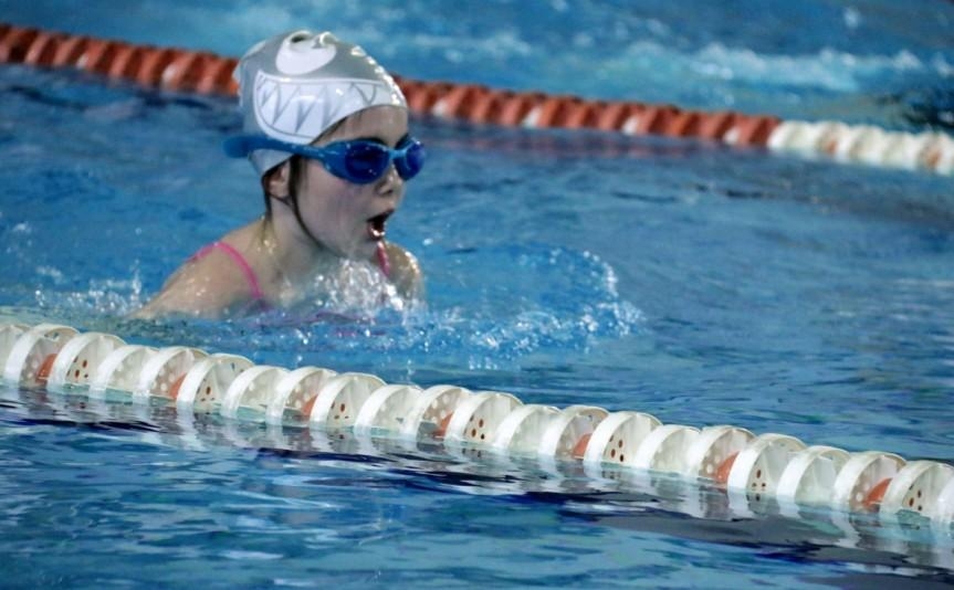 WYNIKI - IV Mistrzostw Śląska Amatorów w Pływaniu