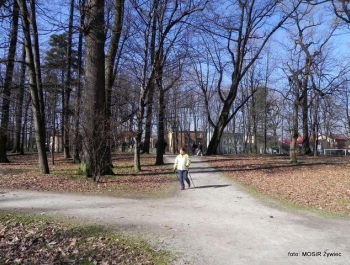 Alejkami Parku Żywieckiego z seniorami. - zdjęcie5