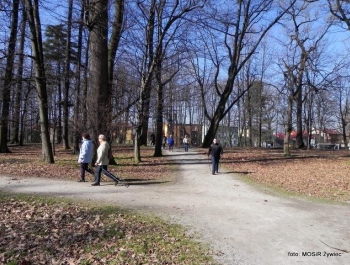 Alejkami Parku Żywieckiego z seniorami. - zdjęcie7