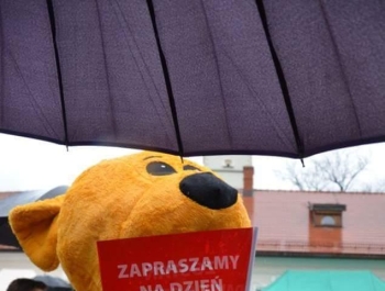 II EDYCJA RUN4FUN ! - zdjęcie6