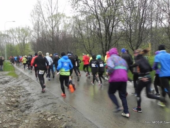 XXVII WIOSENNY FESTIWAL BIEGOWY już za nami - zdjęcie13