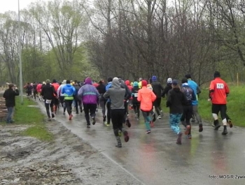 XXVII WIOSENNY FESTIWAL BIEGOWY już za nami - zdjęcie12