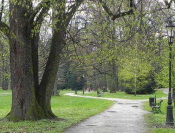 Aktywni seniorzy wracają! - zdjęcie4