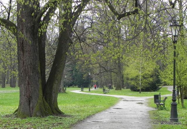 Aktywni seniorzy wracają!