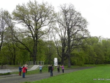 Majówkowy NORDIC WALKING z seniorkami - zdjęcie4