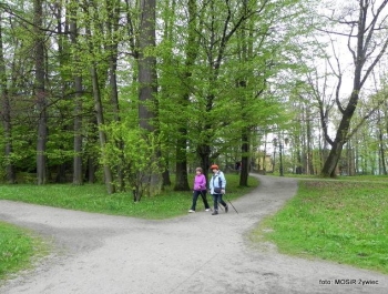 Majówkowy NORDIC WALKING z seniorkami - zdjęcie3