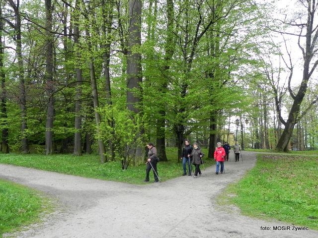 Majówkowy NORDIC WALKING z seniorkami