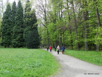 Majówkowy NORDIC WALKING z seniorkami - zdjęcie1