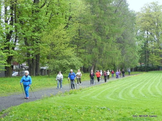 SENIOR/KA 2017 - przykładem dla młodszych!
