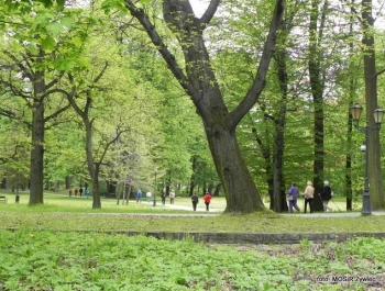 SENIOR/KA 2017 - przykładem dla młodszych! - zdjęcie4