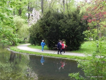 SENIOR/KA 2017 - przykładem dla młodszych! - zdjęcie8