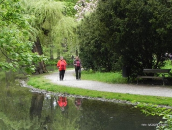 SENIOR/KA 2017 - przykładem dla młodszych! - zdjęcie6