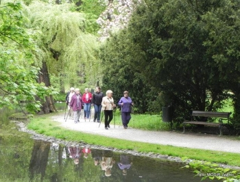 SENIOR/KA 2017 - przykładem dla młodszych! - zdjęcie5