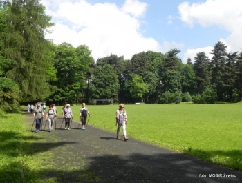SENIOR/KA w Parku Miejskim - zdjęcie5