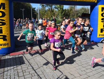 XXVIII Jesienny Festiwal Biegowy - Wyniki + zdjęcia - zdjęcie67