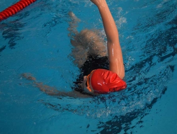 Mikołajkowe Zawody Pływackie  8.12.2018 r. WYNIKI + ZDJĘCIA - zdjęcie221