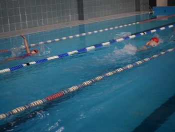 Mikołajkowe Zawody Pływackie  8.12.2018 r. WYNIKI + ZDJĘCIA - zdjęcie230