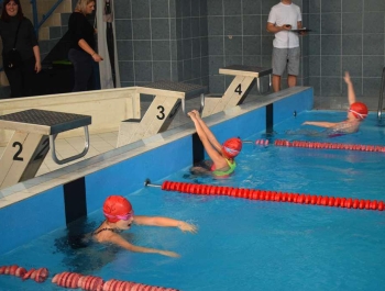 Mikołajkowe Zawody Pływackie  8.12.2018 r. WYNIKI + ZDJĘCIA - zdjęcie186