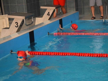 Mikołajkowe Zawody Pływackie  8.12.2018 r. WYNIKI + ZDJĘCIA - zdjęcie170