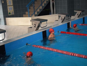 Mikołajkowe Zawody Pływackie  8.12.2018 r. WYNIKI + ZDJĘCIA - zdjęcie165