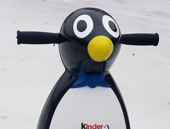 NA LODOWISKO DOTARŁY NOWE PINGWINKI! - zdjęcie1