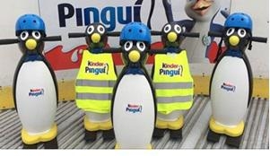 NA LODOWISKO DOTARŁY NOWE PINGWINKI!