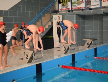 ZAWODY PŁYWACKIE: Ferie z MOSiR-em 2019 WYNIKI+ZDJĘCIA - zdjęcie38