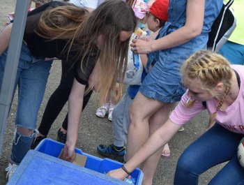 Pierwszy „Festyn z rodzinką” już za nami! - zdjęcie37