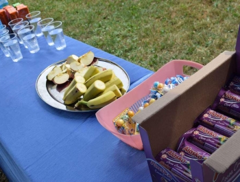 Festyn – Amfiteatr pod Grojcem 02.07.2019 r. – ZDJĘCIA - zdjęcie3