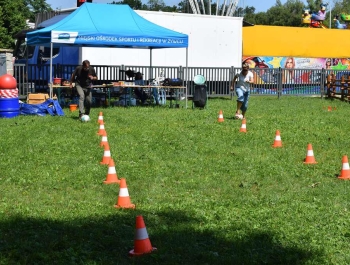 Festyn – Amfiteatr pod Grojcem 25.07.2019 r. – ZDJĘCIA - zdjęcie10