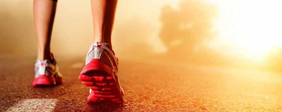 JESIENNY FESTIWAL BIEGOWY 2019 - ZAPISY