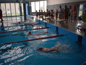 Mikołajkowe Zawody Pływackie  WYNIKI + ZDJĘCIA - zdjęcie46