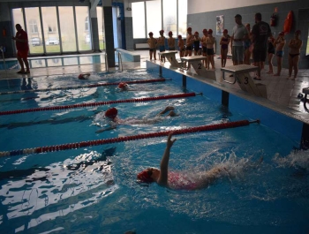 Mikołajkowe Zawody Pływackie  WYNIKI + ZDJĘCIA - zdjęcie47