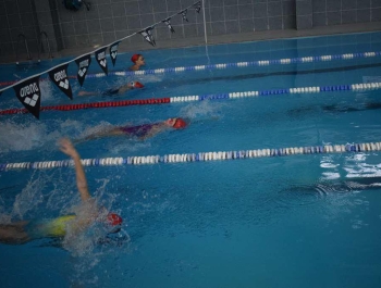 Mikołajkowe Zawody Pływackie  WYNIKI + ZDJĘCIA - zdjęcie54