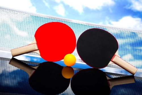 Otwarte Mistrzostwa Miasta Żywca w Tenisie Stołowym