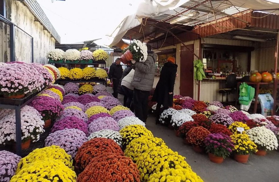 Rezerwacja miejsc handlowych - dot. Wszystkich Świętych w 2021 roku.